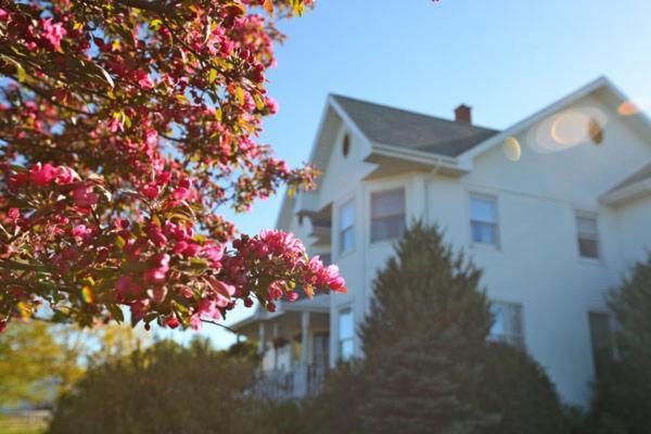 Twin Peaks B&B Mindemoya Екстериор снимка